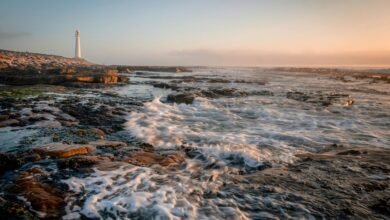 commercial signal discovery ledger