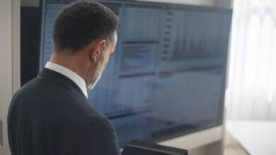 sector momentum analysis report