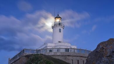 signal stability analysis summary